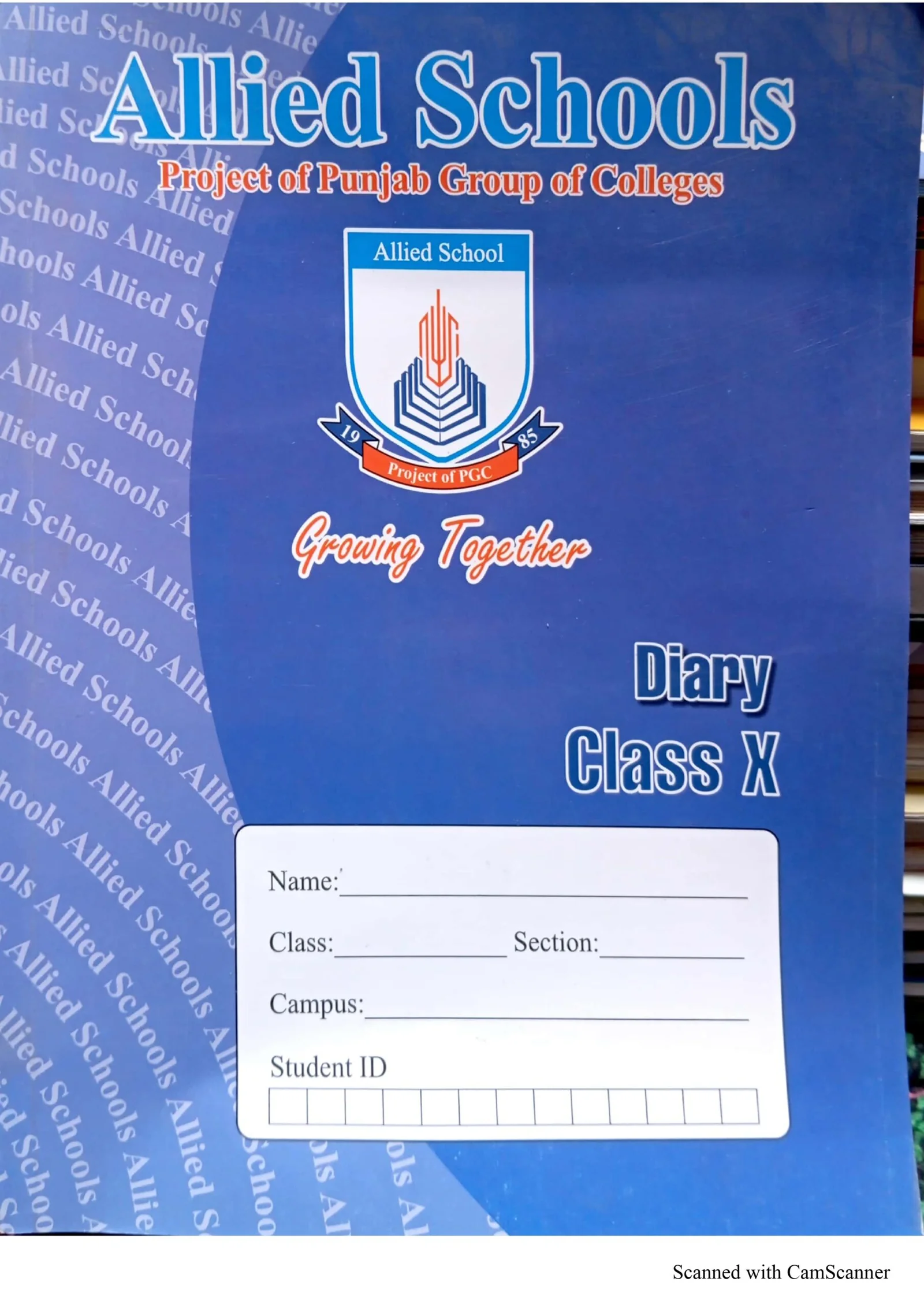 Buy Diary Class X Allied Schools Official Student Diary For Class 10 textbook cover — official Allied School Class 10 curriculum book