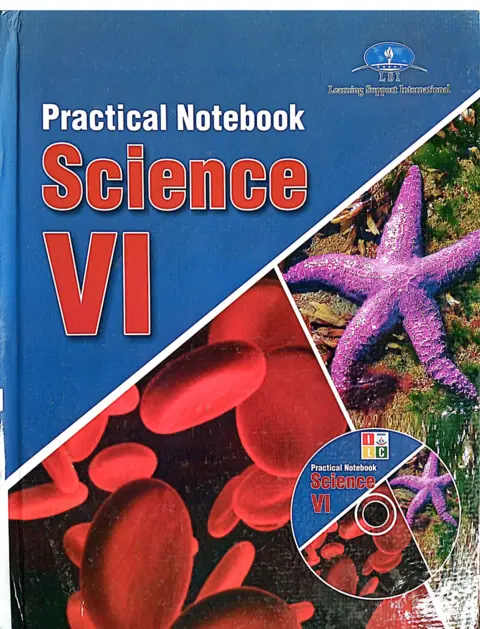 Practical Notebook Science Vi textbook cover — official Allied School All Allied curriculum book